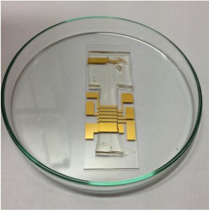 PDMS microchannel bonded to glass chip.